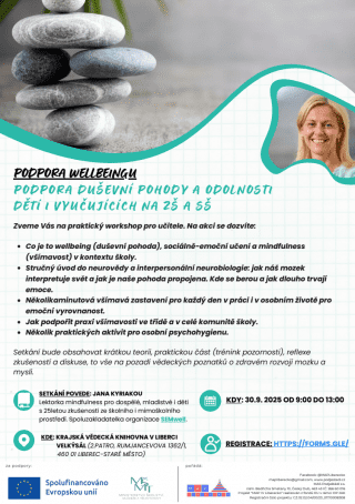 Snímek obrazovky 2025-09-09 131451